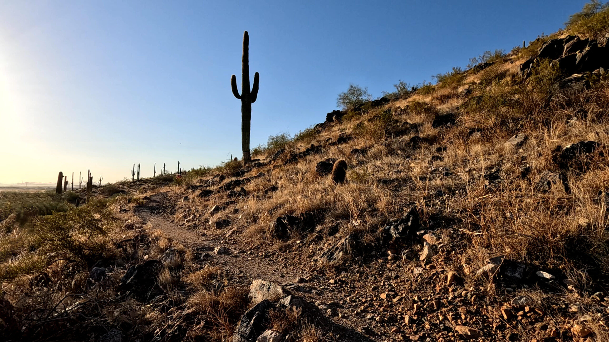 Mountain Bike Still 01 Mountain Bike Trail